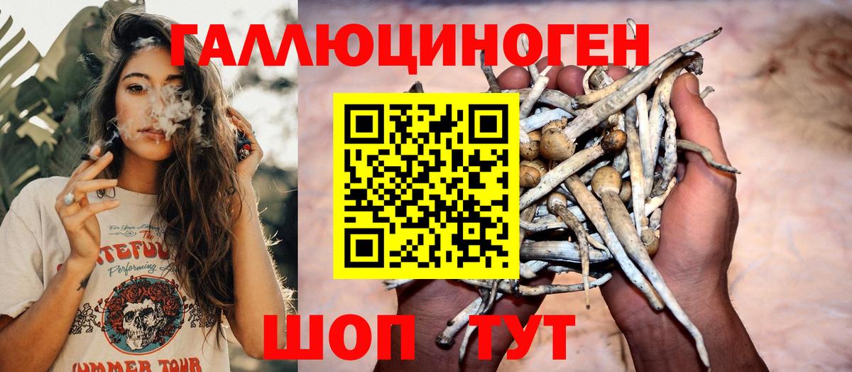 Псилоцибиновые грибы GOLDEN TEACHER  Вход с VPN  Домодедово  Галлюциногенные грибы GOLDEN TEACHER 