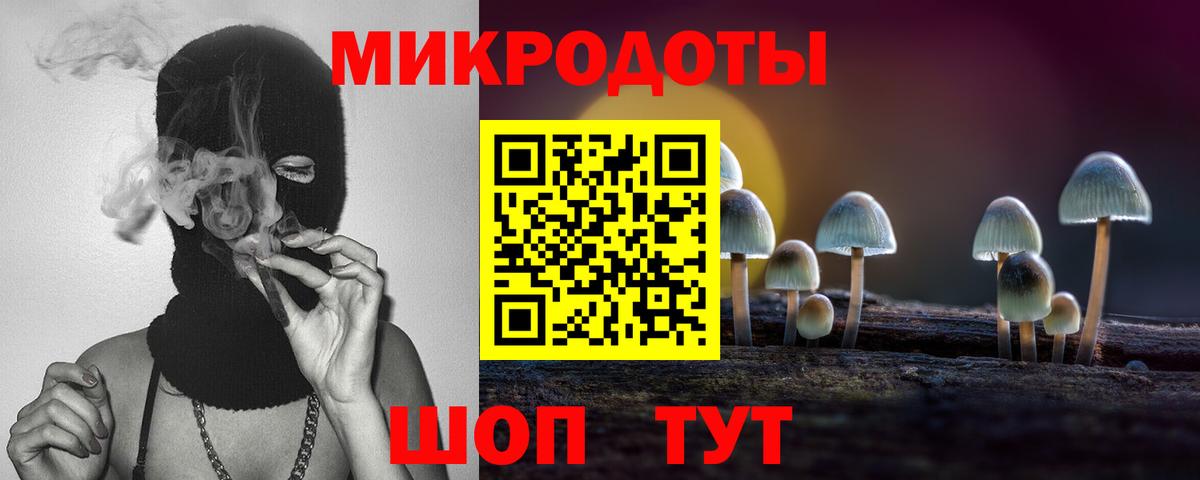 Псилоцибиновые грибы мухоморы Домодедово